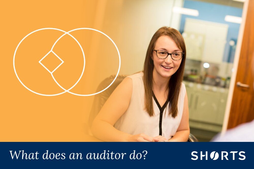 WHAT DOES AN AUDITOR DO UK visual data 3